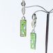 Pendientes "Brotes Tempranos" 202S фото 2